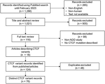 An updated catalog of CTCF variants associated with neurodevelopmental disorder phenotypes